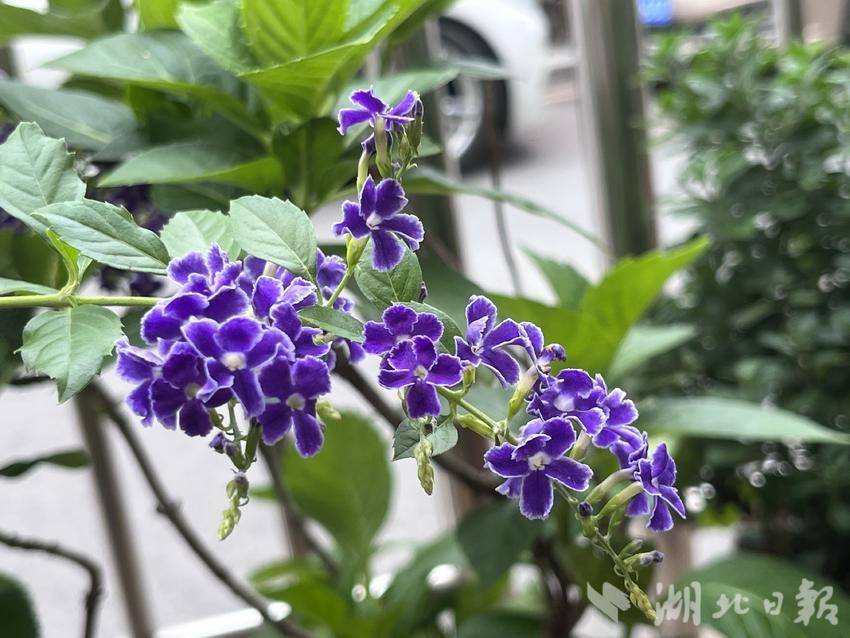 必威无法登陆